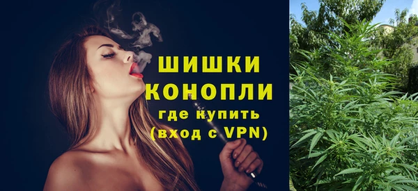 PSILOCYBIN Няндома
