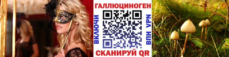 Галлюциногенные грибы Psilocybe  купить наркотик  Цоци-Юрт 